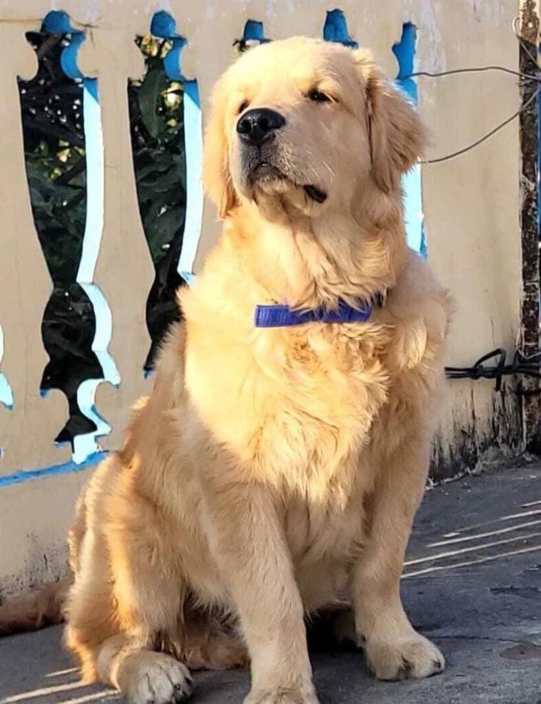 WhatsApp Image 2025-04-19 at 16.15.14_dd221305